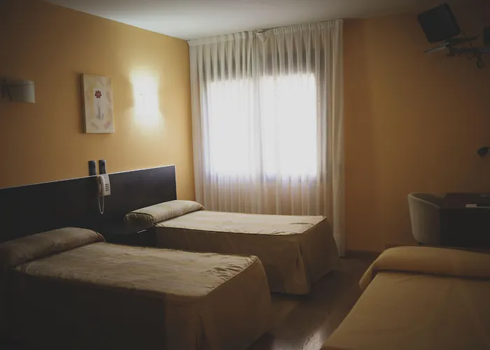 La Bodega La Almunia de Doña Godina